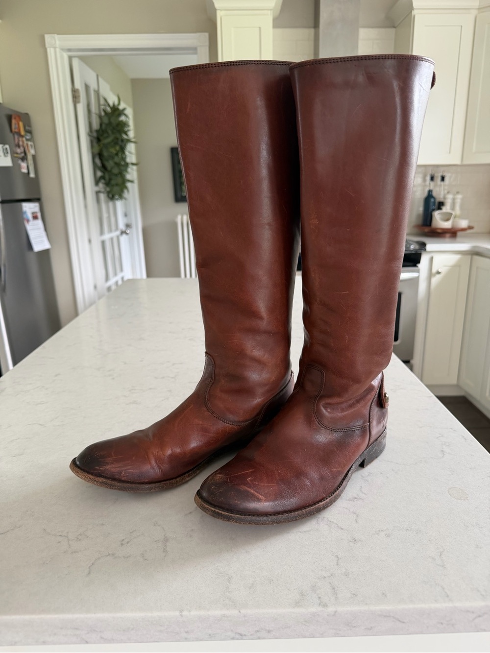 Frye Tall Riding Boots in Brown Leather